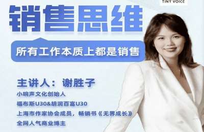 （20240830）谢胜子·销售思维｜商业本质｜成交技巧｜客户心理学｜销冠方法论【6节】