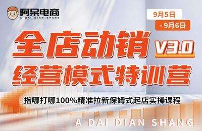 阿呆电商-全店动销经营模式特训营V3.0（9.5-9.6号）【4节课+资料】