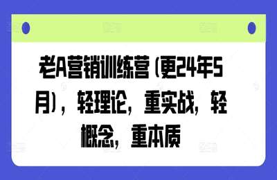 （20240529）老A营销训练营，轻理论，重实战，轻概念，重本质【105节课】