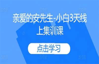（20241023）亲爱的安先生-小白3天线上集训课【3节课】