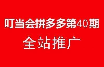 叮当会拼多多第40期-全站推广【15节课】