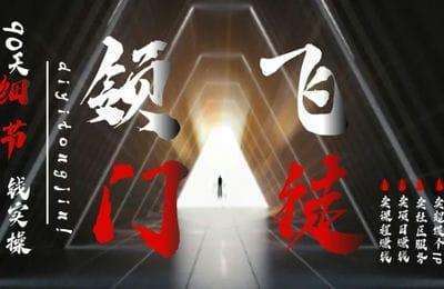 领飞创业-卖项目操盘手+搜索营销+同行借势+超级过体IP【4门22节课】