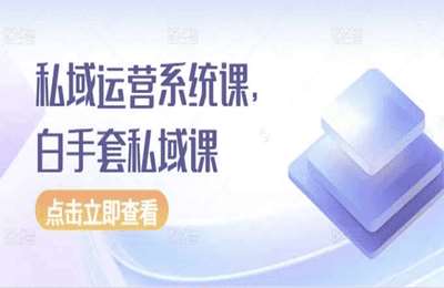 （20241124）私域运营系统课，白手套私域课【25节课】