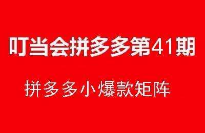 叮当会拼多多第41期-拼多多小爆款矩阵【15节课】