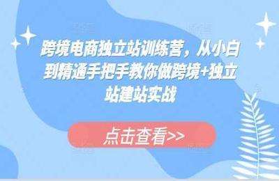 蒙卡-跨境电商独立站训练营，从小白到精通手把手教你做跨境+独立站建站实战【47节课】