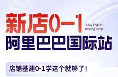 阿里巴巴国际站新店0-1学这个就够了【12节课】