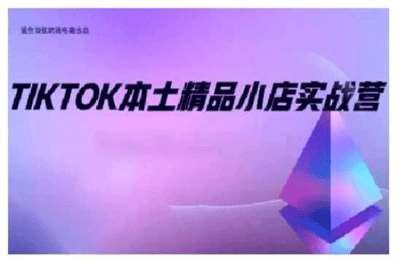（20241219）TikTok本土精品小店出海实战营，从入门到高阶，不止0-1【10节课】