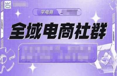 学得起-无招老六电商VIP课程【3章45节】