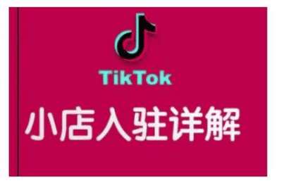 （20250106）TikTok跨境小店运营全攻略，帮助你独立运营TK跨境小店的能力，实现销量增长【5章30节课】
