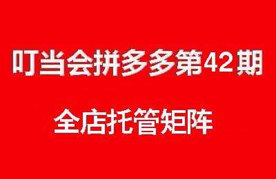 叮当会拼多多第42期-全店托管矩阵【15节课】