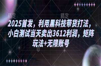 2025首发，利用黑科技带货打法，结合deepseek，小白测试当天卖出3612利润，附矩阵玩法 无限账号教程【3节课+资料】