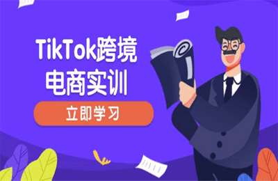 TikTok跨境电商实训，开店准备与选品策略，助力新手快速上手, 精准运营【50节课】