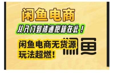 （20250207）闲鱼电商实战课，从入门到精通秘籍在此，闲鱼电商无货源玩法超燃【14节课】