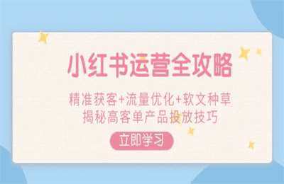 （20250217）言若非：小红书运营全攻略，精准获客+流量优化+软文种草，揭秘高客单产品投放技巧【9节课】