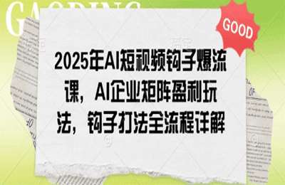 （20250221）2025年AI短视频钩子爆流课，2025AI企业矩阵盈利玩法，钩子打法全流程详解【20节课】