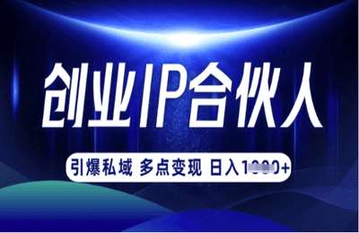 （20250324）云帆：创业ip合伙人打造3.0，从0到1教你做网创，实现月入过W【8节课】
