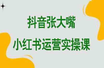 抖音张大嘴-小红书运营实操课【50节课】