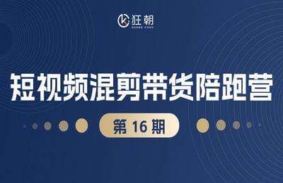 盗坤社群-第16期：短视频混剪带货陪跑营【20节课】