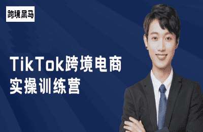 跨境黑马Marx-黑马TikTok跨境电商实操训练营【6章48节课】