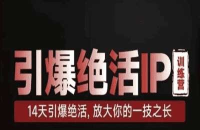 （20250413）引爆绝活IP训练营，14天引爆绝活，放大你的一技之长【14节课】