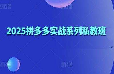 （20250501）华生：2025拼多多实战系列私教班【2章12节课】