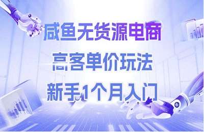 清风老师-（20250617）咸鱼无货源电商，高客单价玩法，新手1个月入门【6节课】
