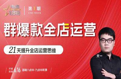 贾真电商-群爆款全店运营（第01期）【14节课】
