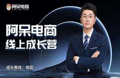 阿呆电商-2025阿呆线上成长营【3章49节课】