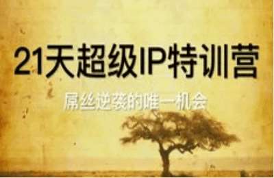（20250513）21天超级IP特训营，屌丝逆袭的唯一机会-是图文【9节课】