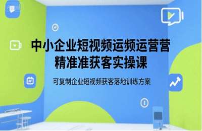 中小企业短视频运营精准获客实操课，可复制企业短视频获客落地训练方案【48节课】