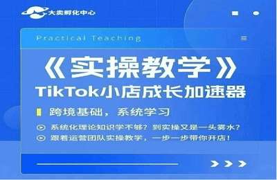 大卖家孵化中心TikTok实操课，TikTok小店成长加速器，跨境基础系统学习，一步一步带你开店【4章30节课】