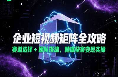 孟总-企业短视频矩阵全攻略，赛道选择+团队搭建，精准获客变现实操【15节课】