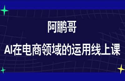 南掌柜-阿鹏哥：AI在电商领域的运用线上课【14节】