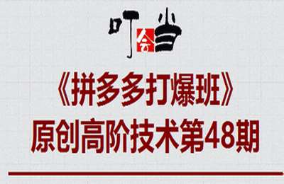 叮当会拼多多第48期-拼多多终极推广【15节】