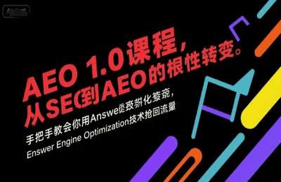 大卫外贸-（20250717）AEO 1.0 课程，从SEO到AE0的基命性转变，手把手教会你用技术抢回流量【11节课】