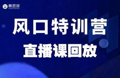 幕思城淘系外课程09-风口特训练营直播课回放（20250925最新版）