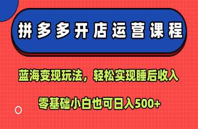 拼多多开店运营课程：蓝海变现玩法，轻松实现睡后收入，零基础小白也可日入5张【9节课】