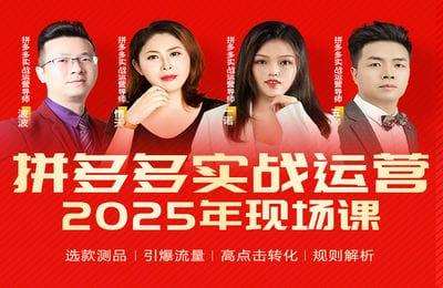 推易拼多多-2025年04月拼多多实战运营现场课程【5章30节】