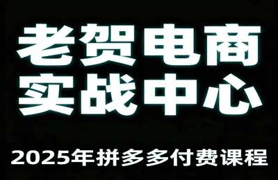 老贺电商-2025年拼多多付费课程，用通俗易懂的方法告诉你多多怎么玩【5章45节】