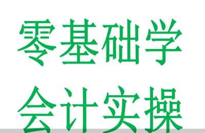 会计实操帆帆01-会计实操工商年报+实操汇算清缴【2章12节】