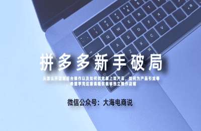 大海电商说01-拼多多新手破局课【42节】