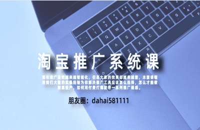 大海电商说02-淘宝高阶付费推广课【20节】