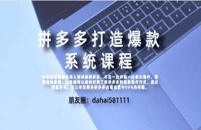 大海电商说03-拼多多高阶打造爆款全套课程【38节】