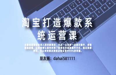 大海电商说04-淘宝运营系统课程【32节】