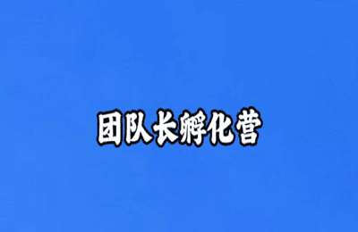 抖讲堂02-Ai高级课+团队长孵化营+百货密训营+穿搭15天密训营【4章41节】