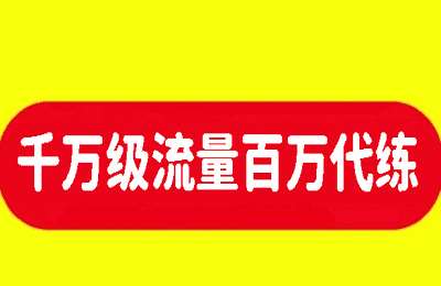 叶子老师讲美业01-千万级流量百万代练【17节】