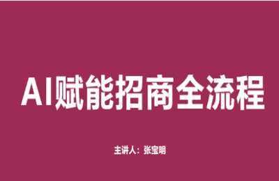张宝明01-AI实战营：DeepSeek赋能产业商业招商【13节】