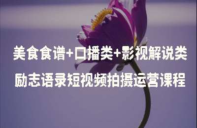玲珑短视频01-美食食谱+口播类+影视解说类+励志语录短视频拍摄运营课程【4章22节】