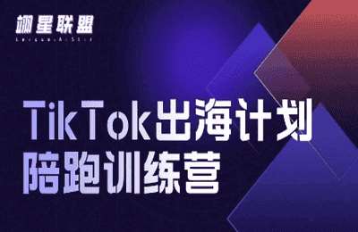 翊星联盟01-TikTok出海计划陪跑训练营【13节】