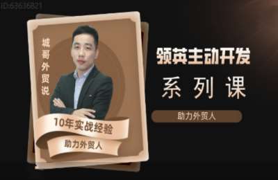 城哥外贸说02-领英开发客户系统课【115节】